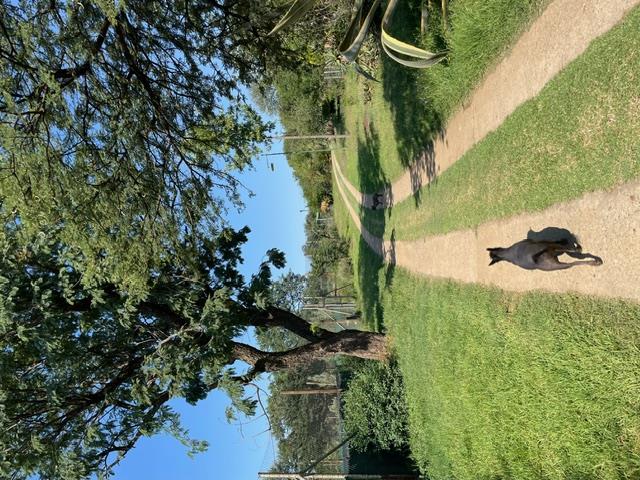 3 Bedroom Property for Sale in Walkerville Gauteng