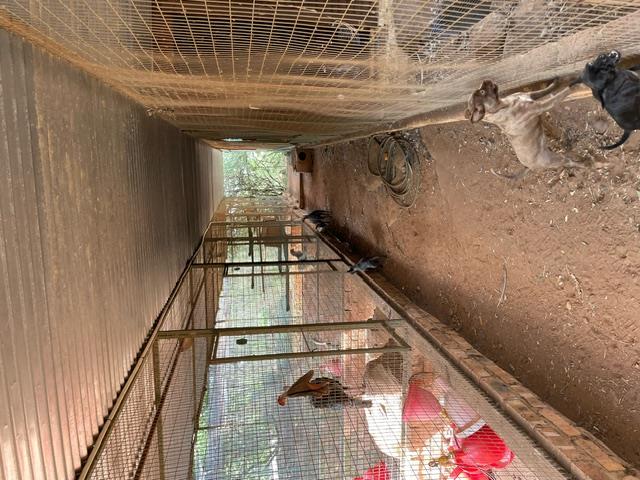 3 Bedroom Property for Sale in Walkerville Gauteng