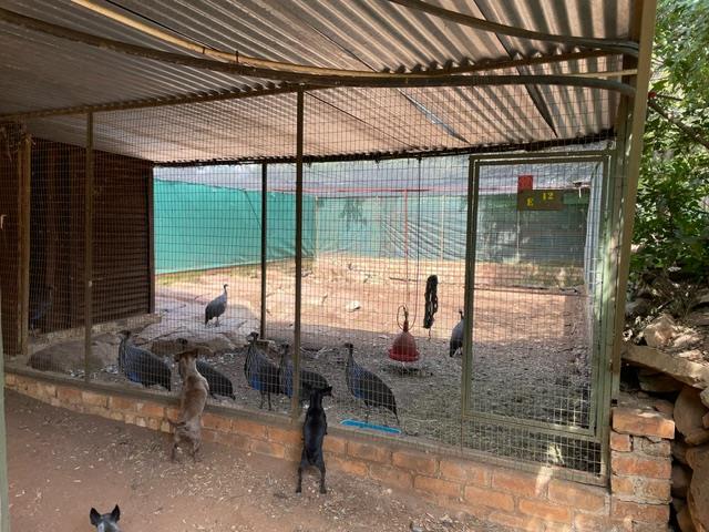 3 Bedroom Property for Sale in Walkerville Gauteng