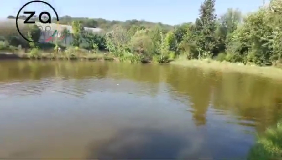 6 Bedroom Property for Sale in Walkerville Gauteng