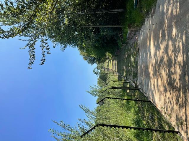 6 Bedroom Property for Sale in Walkerville Gauteng