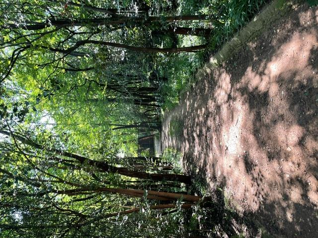 6 Bedroom Property for Sale in Walkerville Gauteng