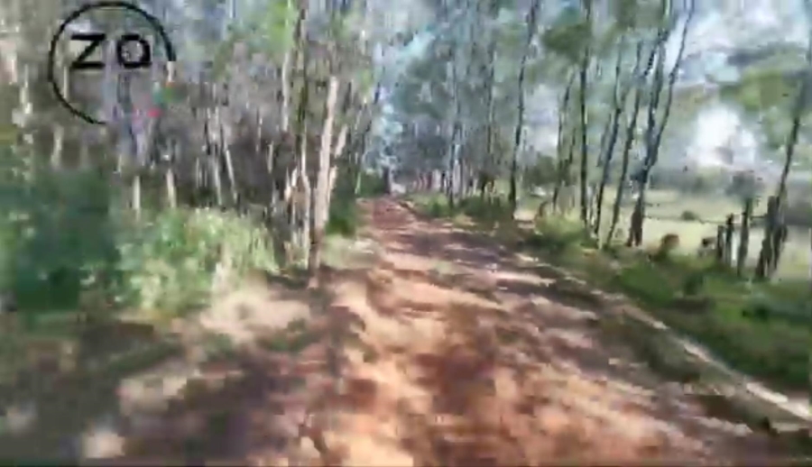 6 Bedroom Property for Sale in Walkerville Gauteng