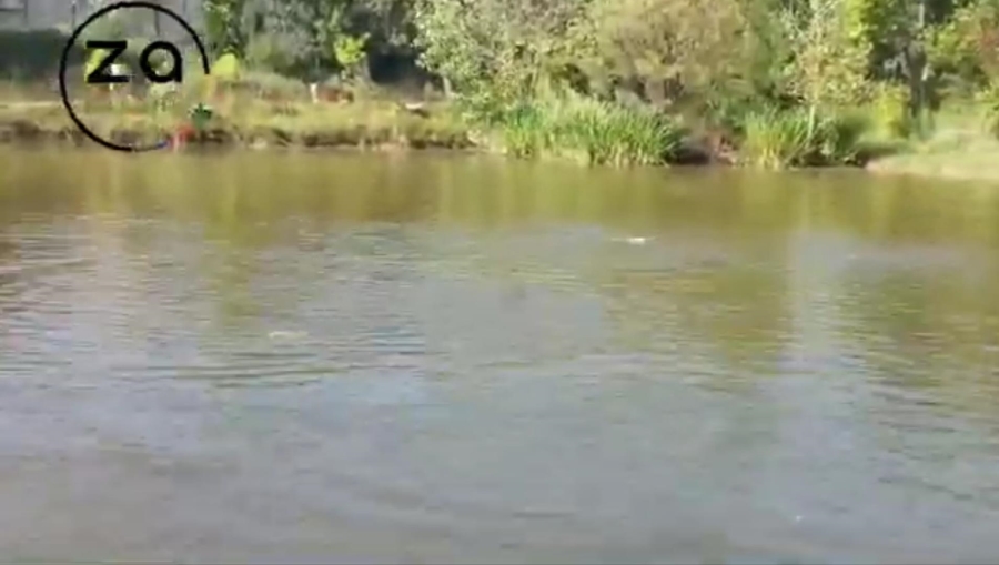 6 Bedroom Property for Sale in Walkerville Gauteng