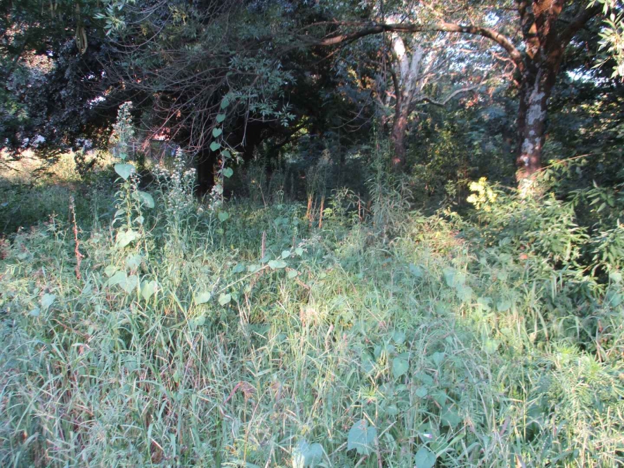 0 Bedroom Property for Sale in Henley on Klip Gauteng