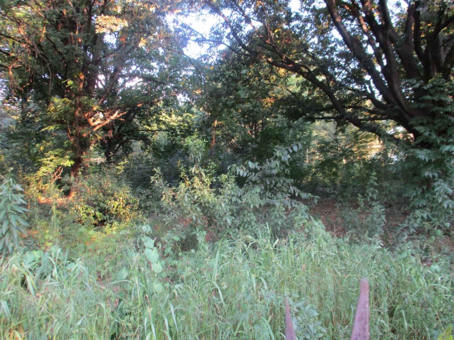 0 Bedroom Property for Sale in Henley on Klip Gauteng