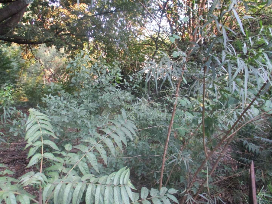 0 Bedroom Property for Sale in Henley on Klip Gauteng