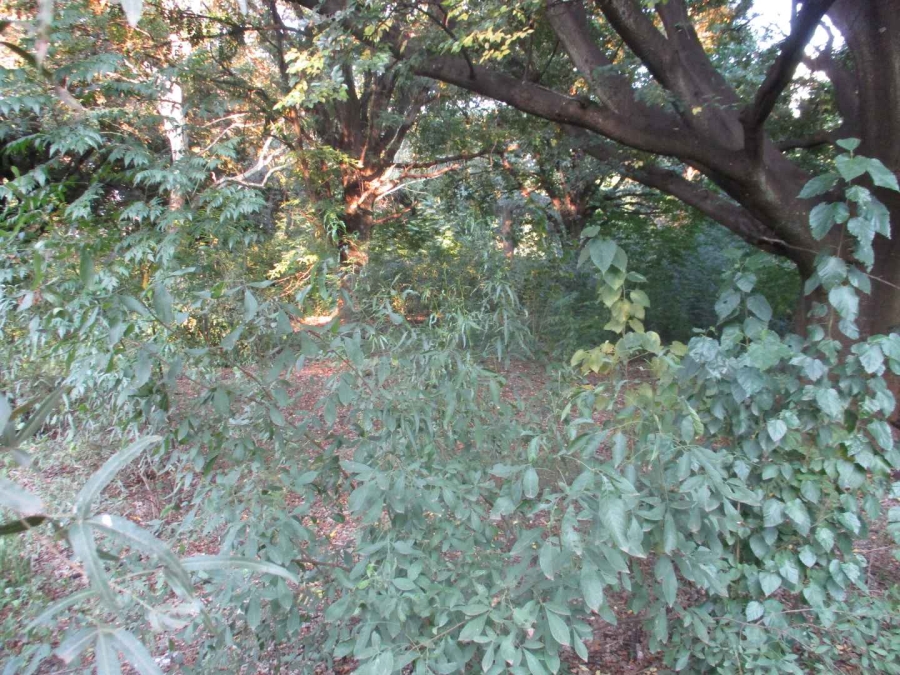 0 Bedroom Property for Sale in Henley on Klip Gauteng