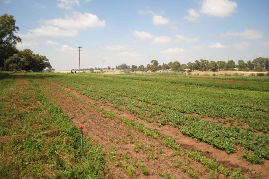 5 Bedroom Property for Sale in Rietfontein A H Gauteng