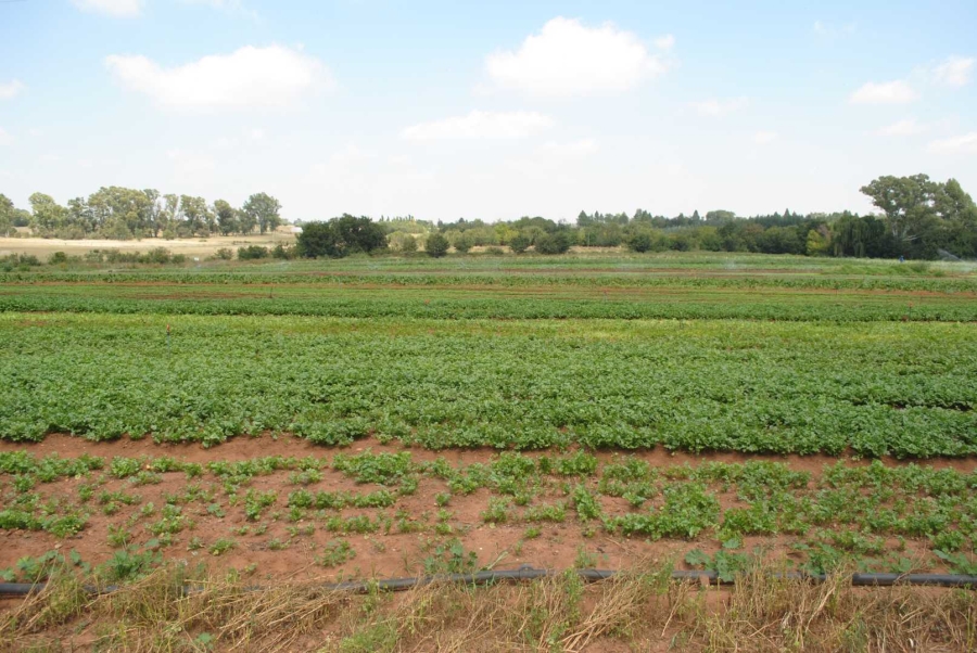 5 Bedroom Property for Sale in Rietfontein A H Gauteng