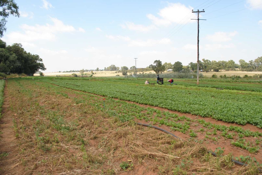 5 Bedroom Property for Sale in Rietfontein A H Gauteng