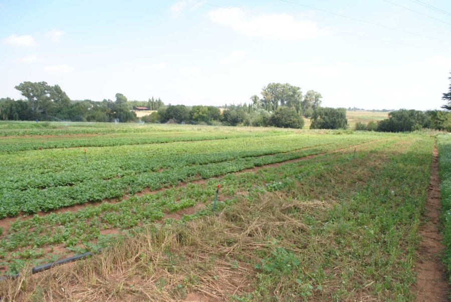 5 Bedroom Property for Sale in Rietfontein A H Gauteng