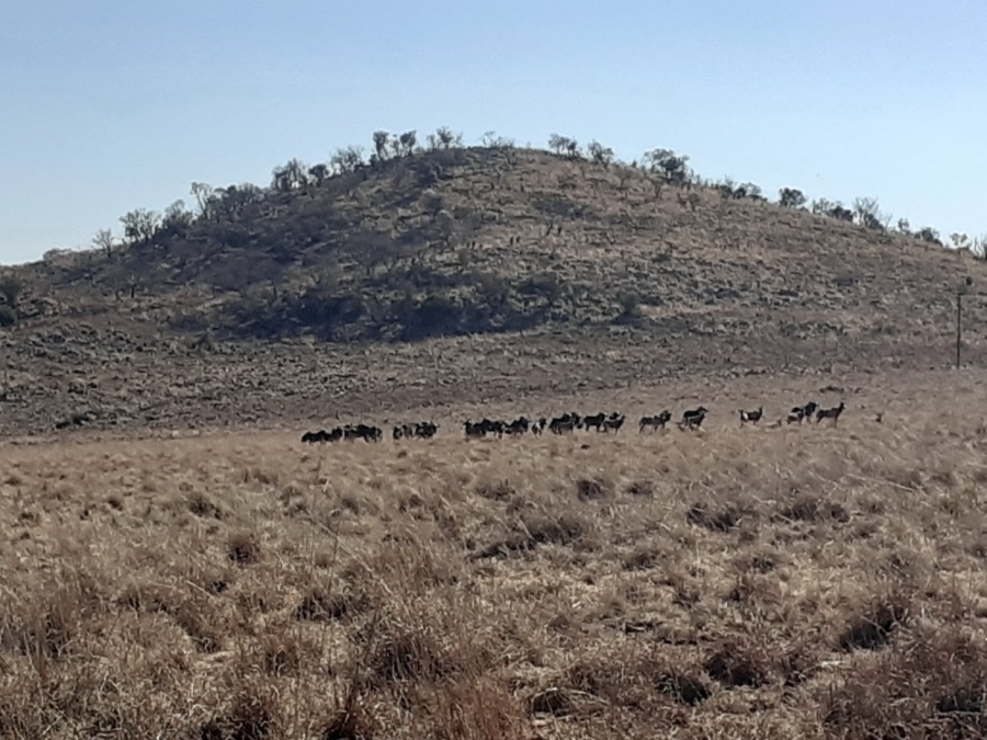 Commercial Property for Sale in Roodekrans Gauteng