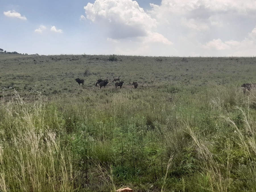 Commercial Property for Sale in Roodekrans Gauteng