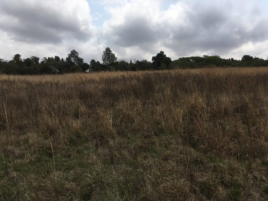 Commercial Property for Sale in Randjesfontein A H Gauteng