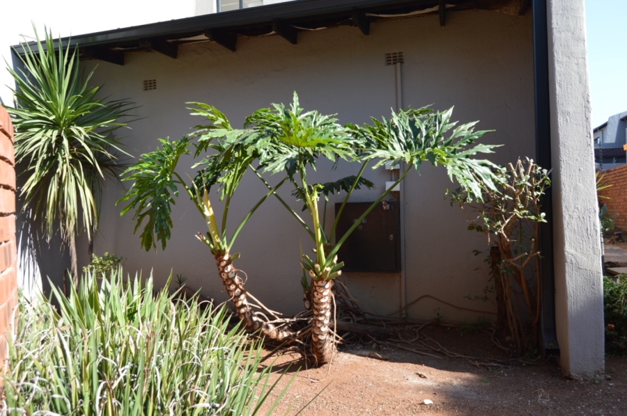 To Let 3 Bedroom Property for Rent in Fairland Gauteng