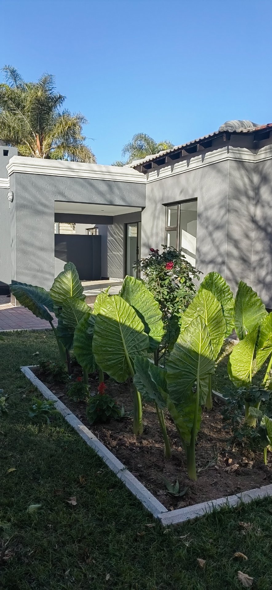 To Let 3 Bedroom Property for Rent in Fourways Gauteng