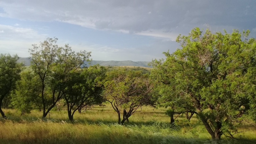 Commercial Property for Sale in Roodekrans Gauteng