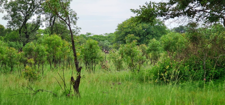 Commercial Property for Sale in Boekenhoutskloof and surround Gauteng