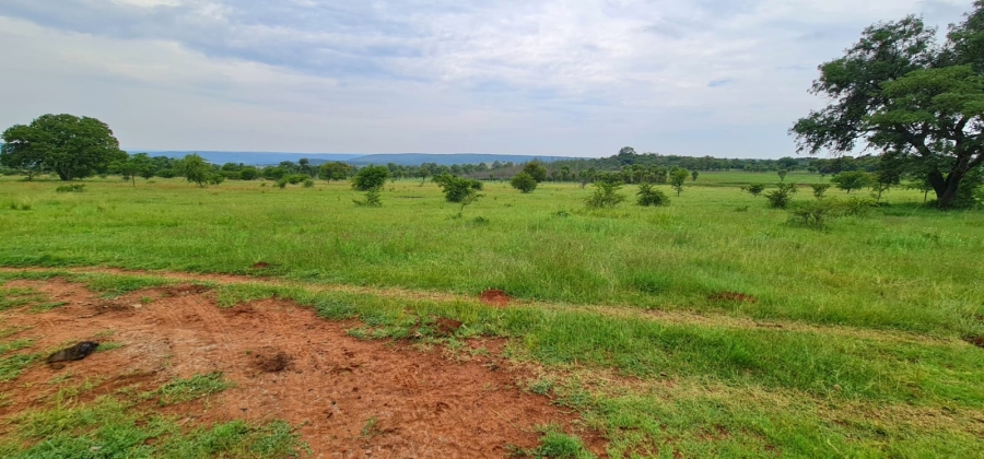 To Let Commercial Property for Rent in Boekenhoutskloof and surround Gauteng