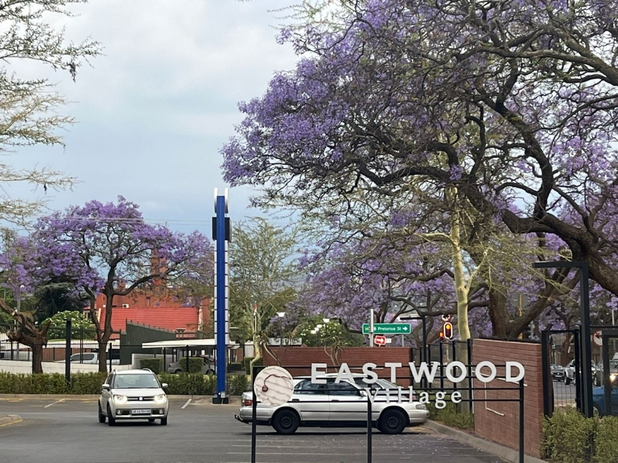 To Let Commercial Property for Rent in Arcadia Gauteng
