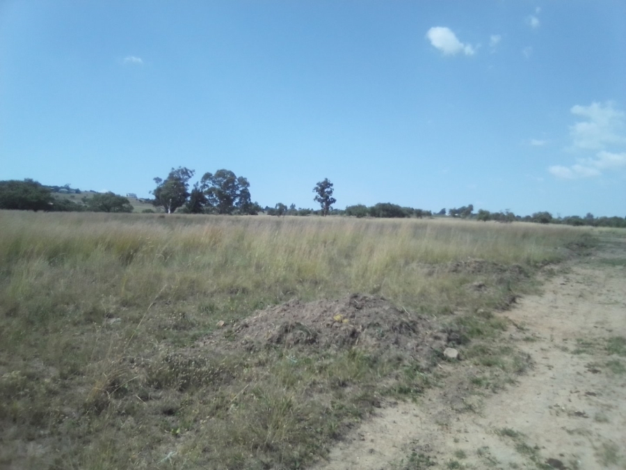 To Let Commercial Property for Rent in Laezonia Gauteng