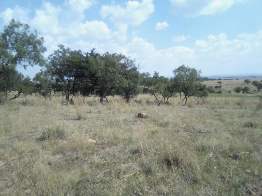 To Let Commercial Property for Rent in Laezonia Gauteng