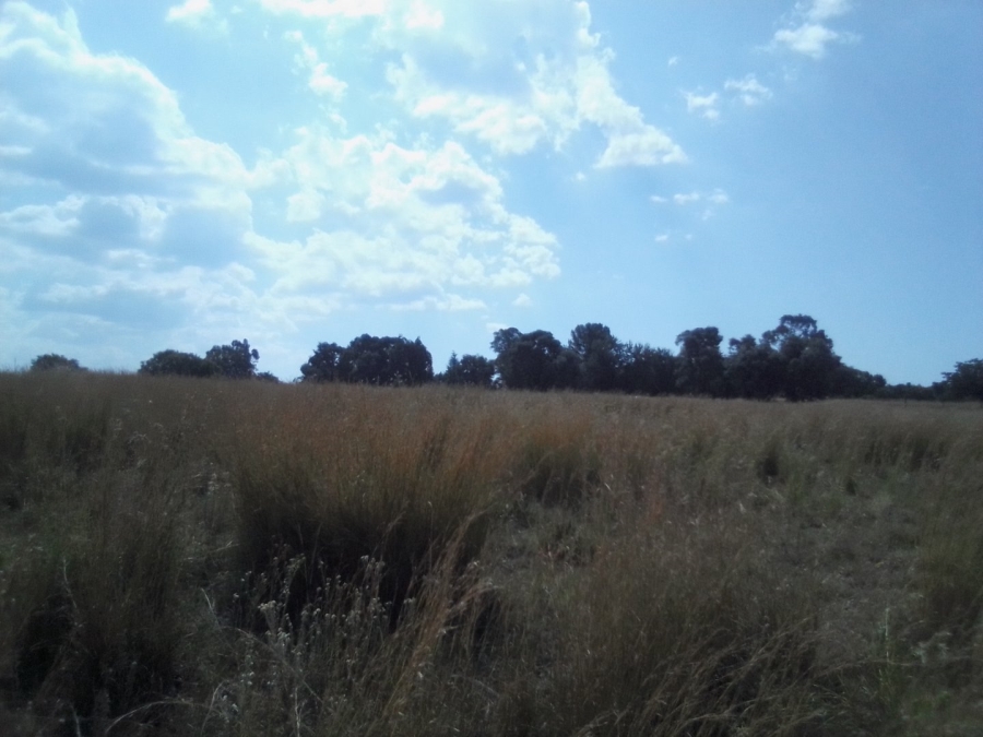 To Let Commercial Property for Rent in Laezonia Gauteng