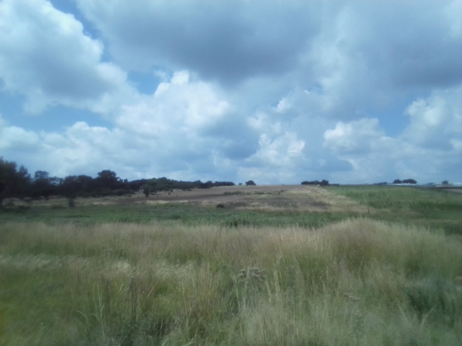 To Let Commercial Property for Rent in Diepsloot West Gauteng