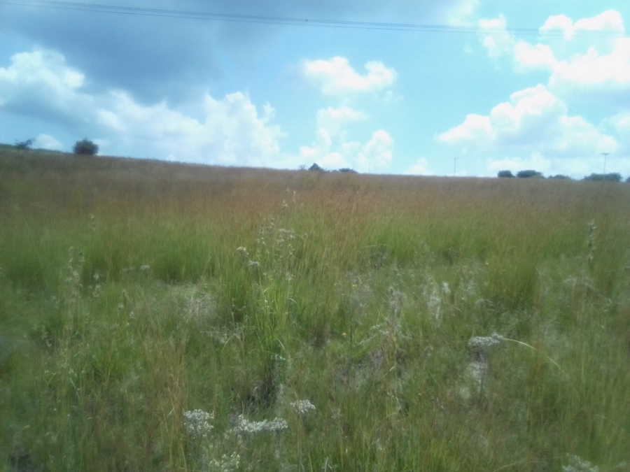 To Let Commercial Property for Rent in Diepsloot West Gauteng