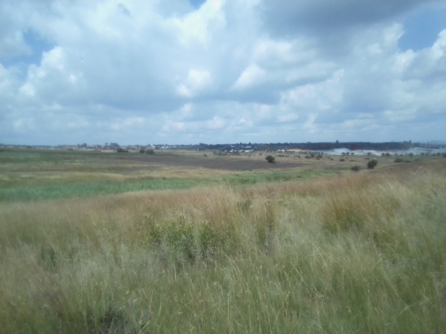 To Let Commercial Property for Rent in Diepsloot West Gauteng
