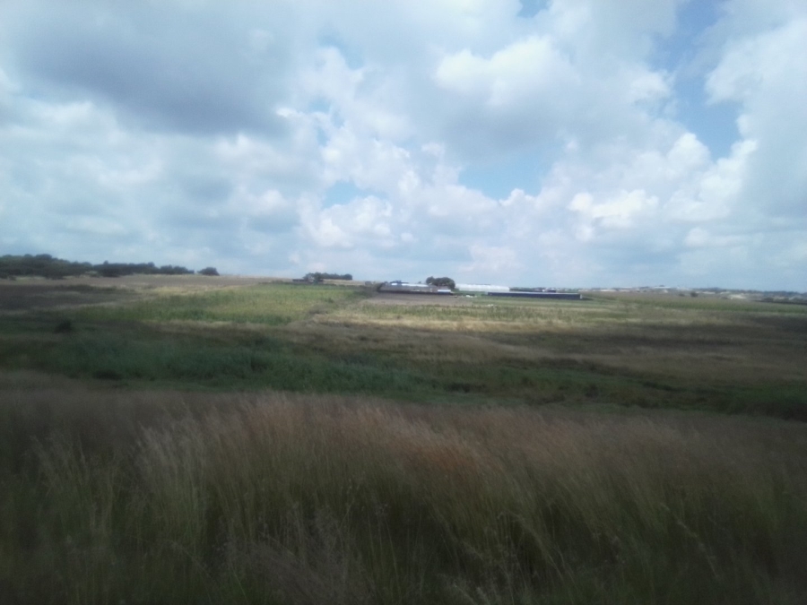 To Let Commercial Property for Rent in Diepsloot West Gauteng
