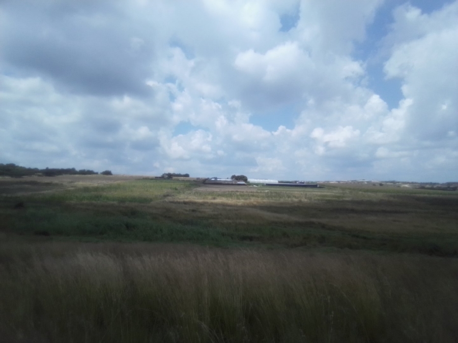 To Let Commercial Property for Rent in Diepsloot West Gauteng