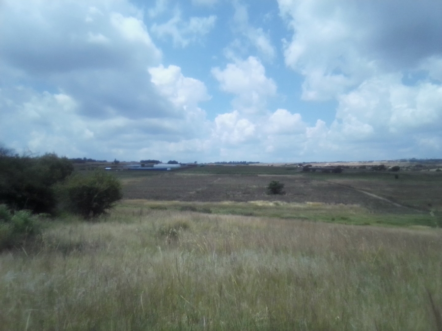 To Let Commercial Property for Rent in Diepsloot West Gauteng