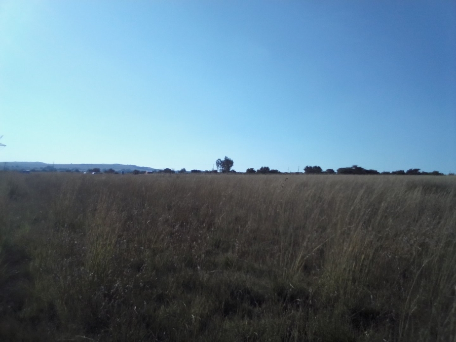 To Let Commercial Property for Rent in Diepsloot West Gauteng
