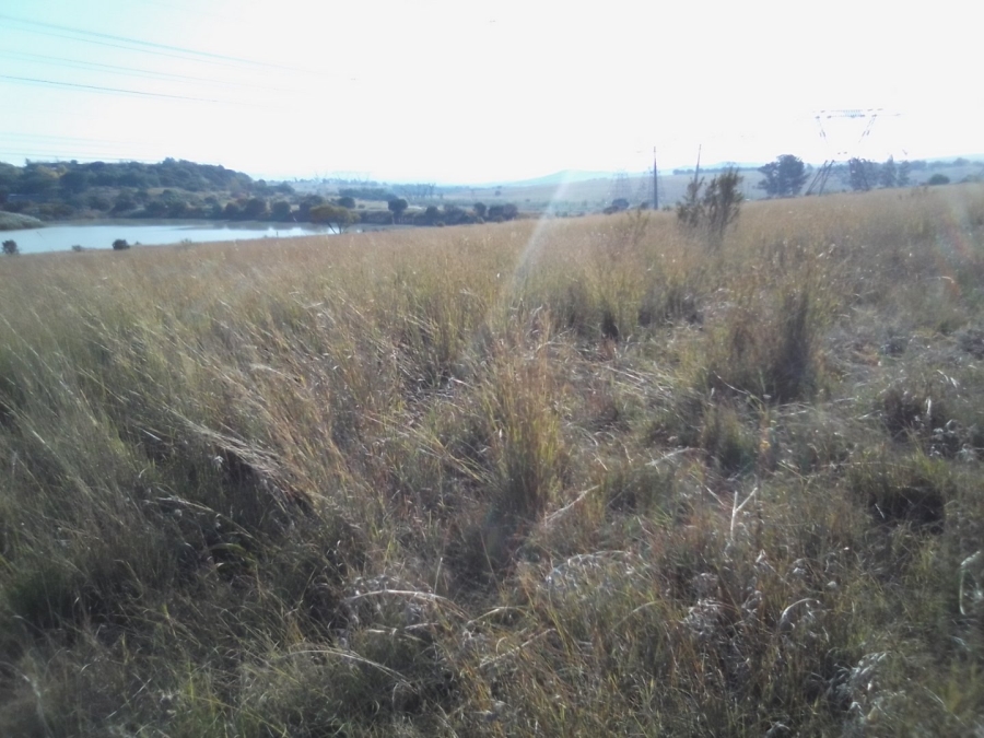 To Let Commercial Property for Rent in Diepsloot West Gauteng