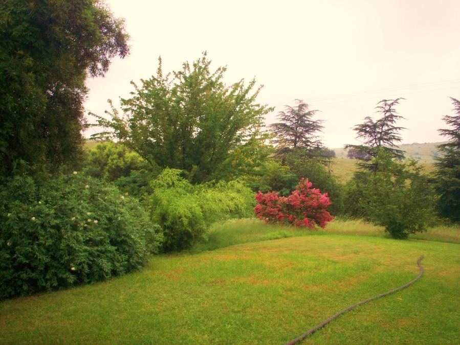  Bedroom Property for Sale in Rietfontein Gauteng