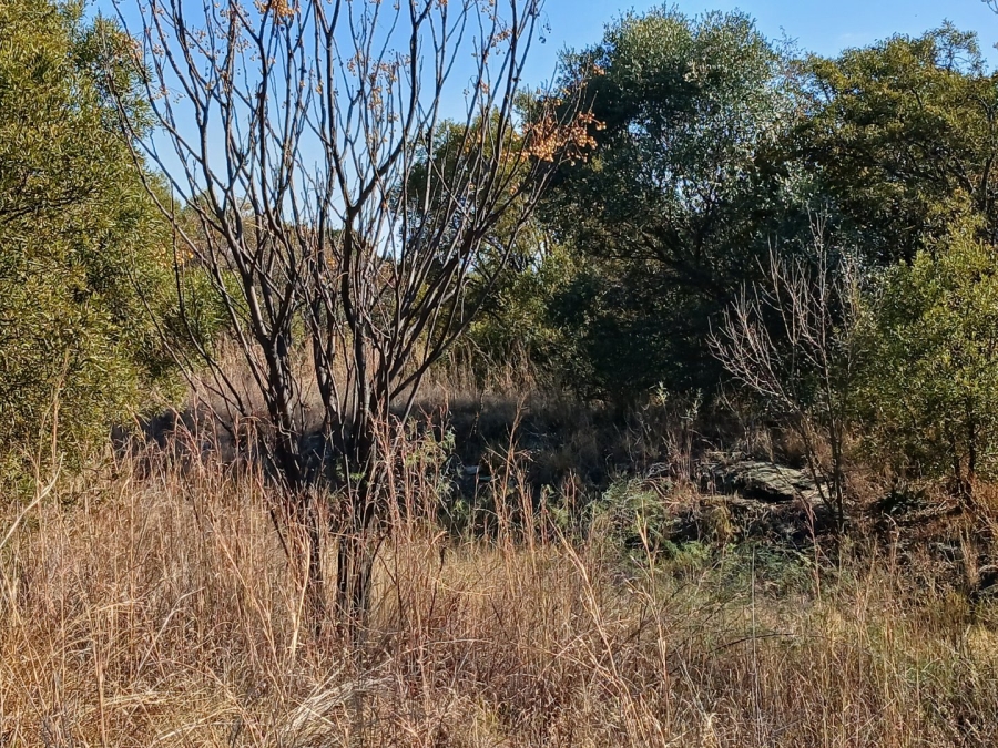  Bedroom Property for Sale in Rietfontein Gauteng