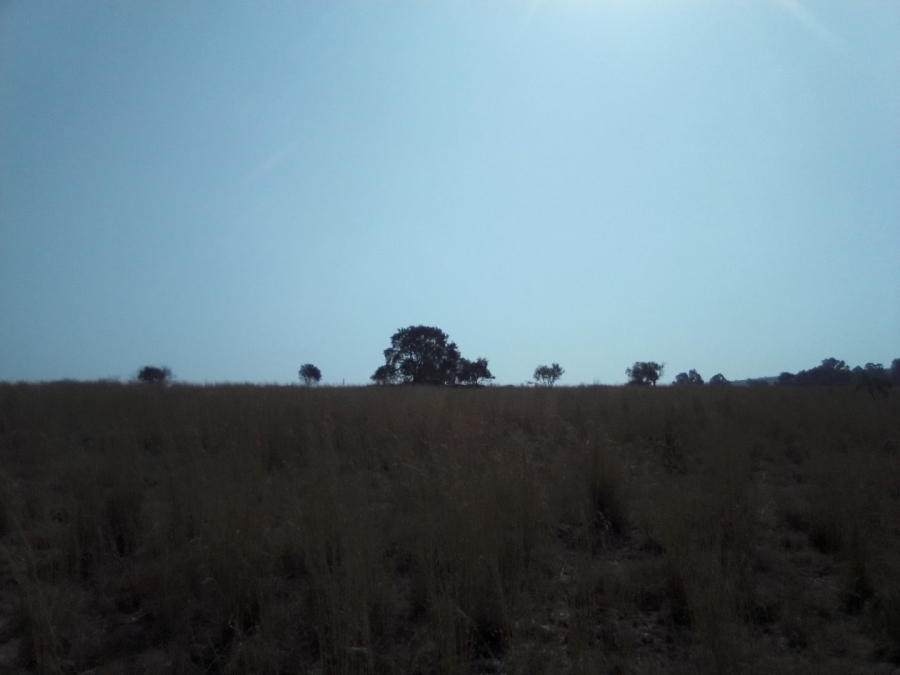 To Let Commercial Property for Rent in Doornrandje Gauteng