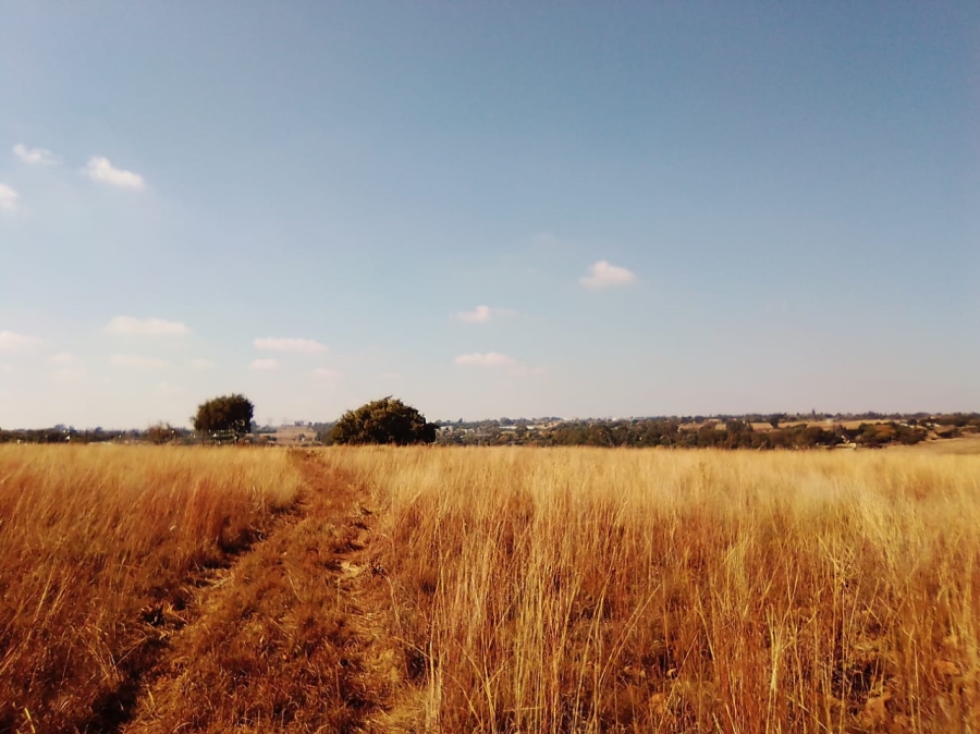 To Let Commercial Property for Rent in Doornrandje Gauteng