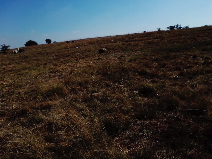 To Let Commercial Property for Rent in Doornrandje Gauteng