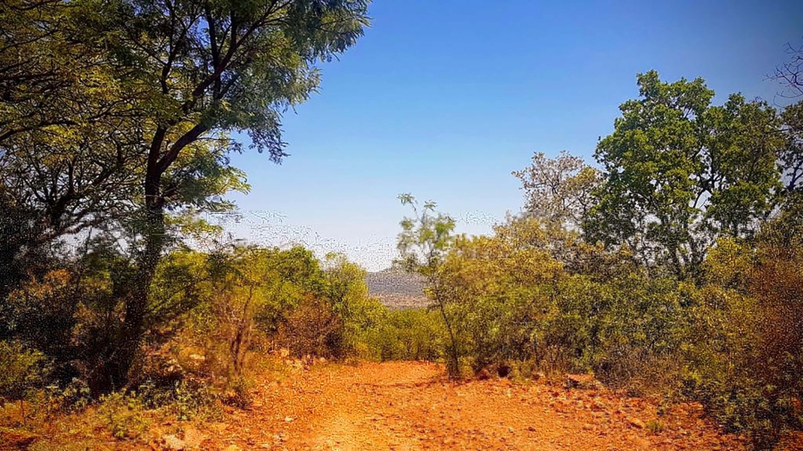 Commercial Property for Sale in Elandsfontein A H Gauteng