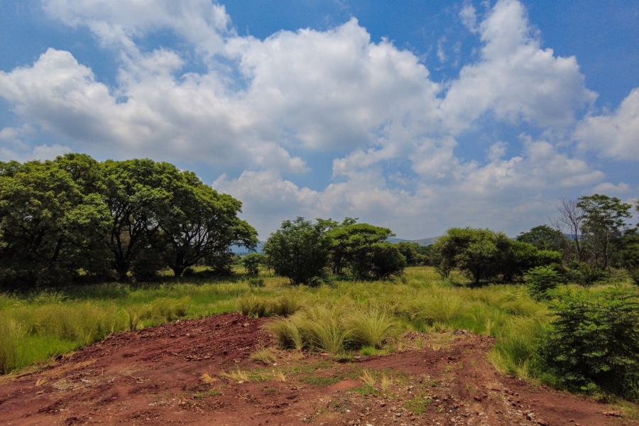 Commercial Property for Sale in Theresa Park Gauteng