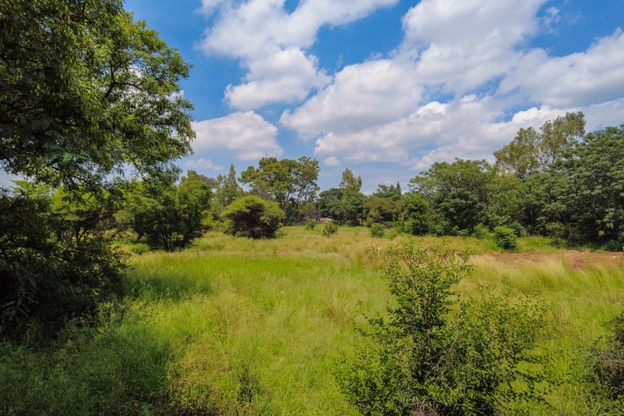 Commercial Property for Sale in Theresa Park Gauteng