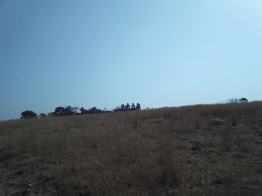 To Let Commercial Property for Rent in Doornrandje Gauteng