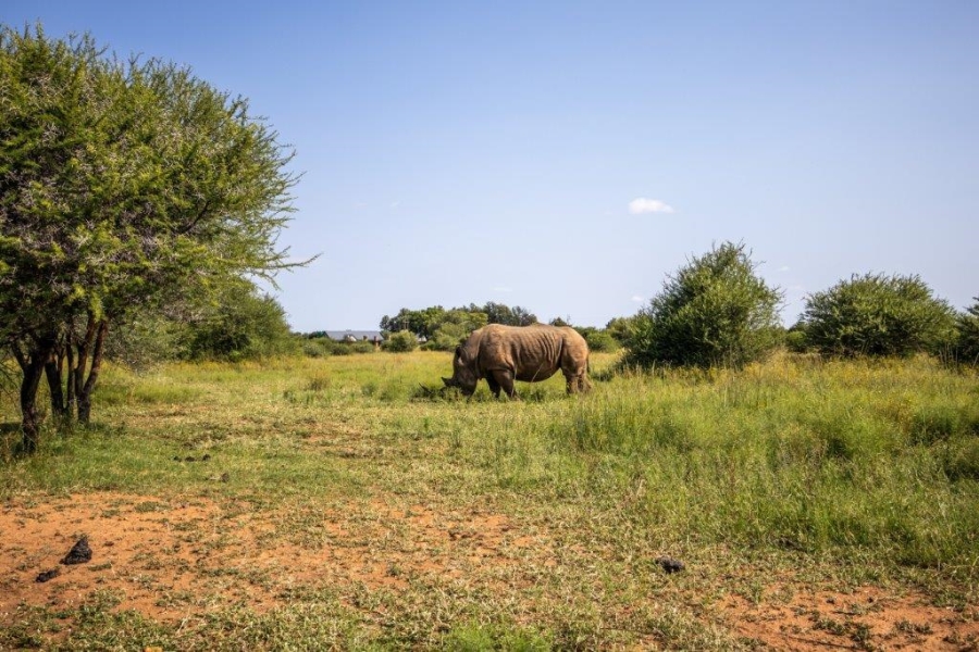 Commercial Property for Sale in Dinokeng Game Reserve Gauteng