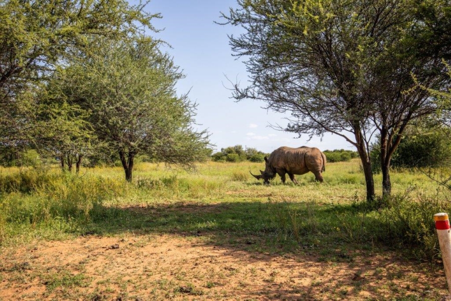 Commercial Property for Sale in Dinokeng Game Reserve Gauteng