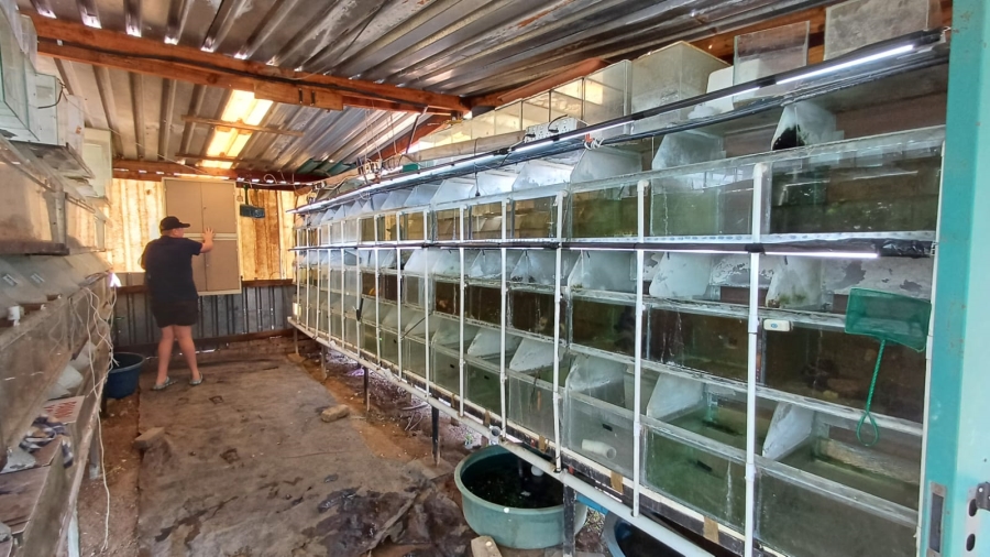 Commercial Property for Sale in Grootvaly AH Gauteng