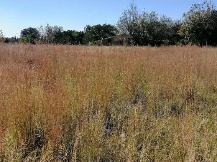 Commercial Property for Sale in Theoville Gauteng