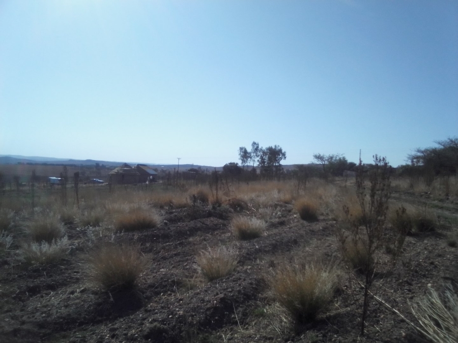 To Let Commercial Property for Rent in Diepsloot West Gauteng
